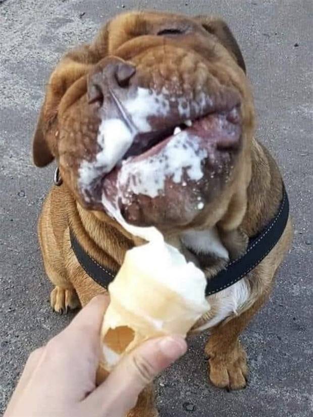 Klyker Picdump #1372 (52 photos)