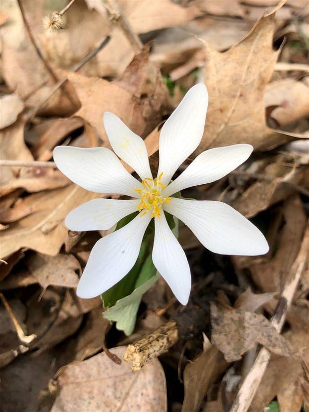 Klyker Picdump #1372 (52 photos)