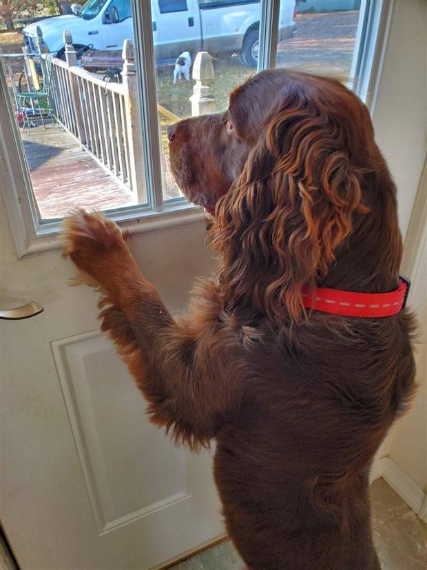 Klyker Picdump #1372 (52 photos)