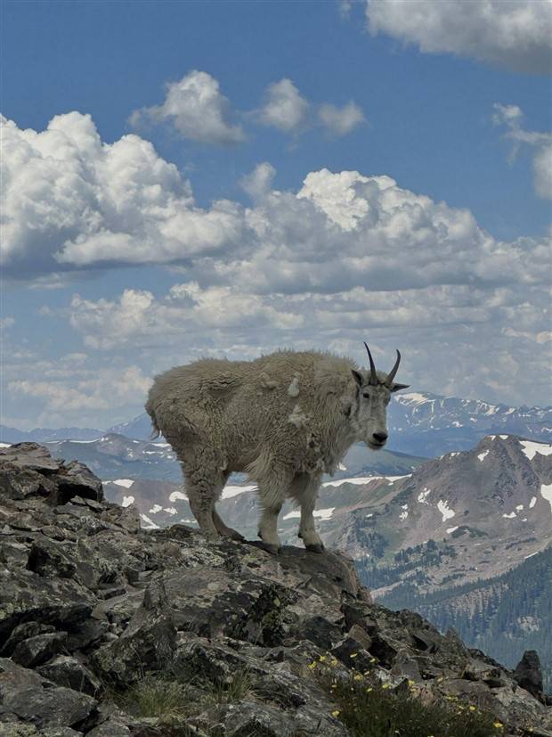 Klyker Picdump #1372 (52 photos)