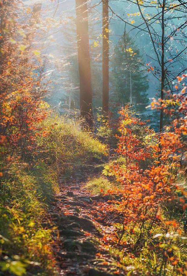 Amazing Landscapes that Leave Us Speechless #22 (30 photos)