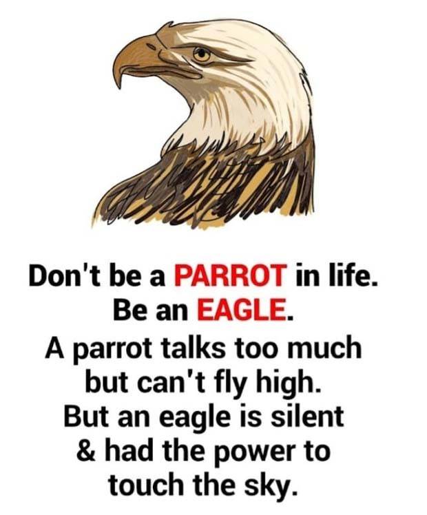 Motivational Quotes, Because It’s Monday #84 (30 photos)