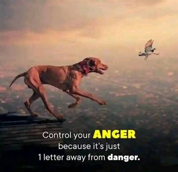 motivational quotes 6 1 Motivational Quotes, Because It’s Monday #83 (30 photos)