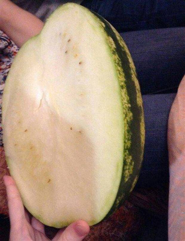 Shit Happens Regularly, Get Used To It #261 (33 photos)