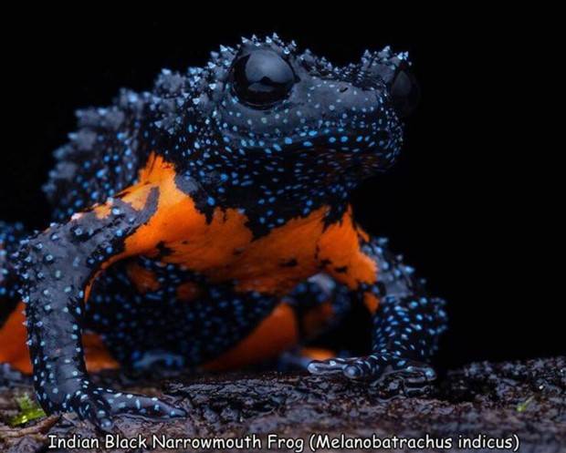 pictures with captions 17 Interesting Pictures with Captions #84 (33 photos)