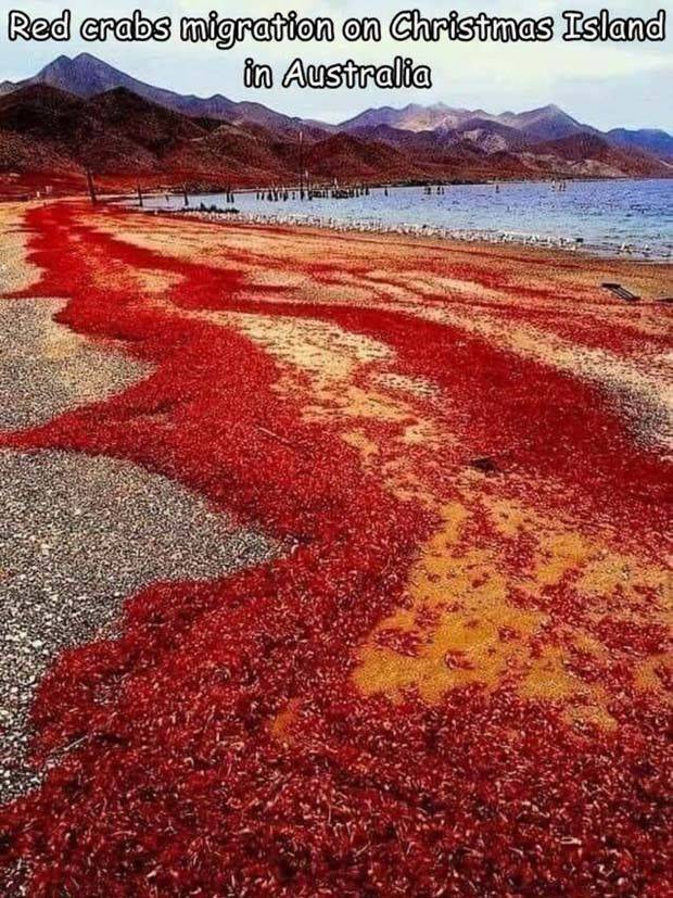 pictures with captions 20 Interesting Pictures with Captions #84 (33 photos)