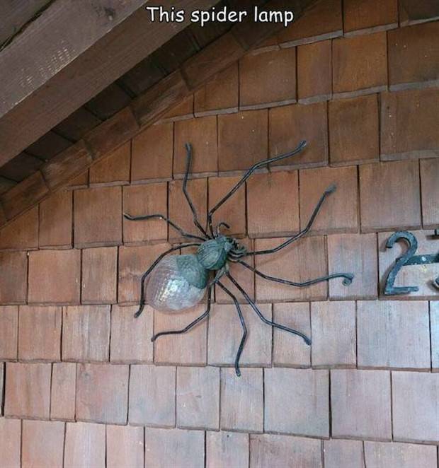 pictures with captions 32 Interesting Pictures with Captions #84 (33 photos)