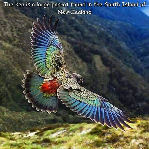 pictures with captions 5 Interesting Pictures with Captions #84 (33 photos)