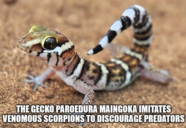 It’s Time for Some Cool and Interesting Facts #362 (34 photos)