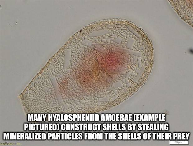 It’s Time for Some Cool and Interesting Facts #362 (34 photos)