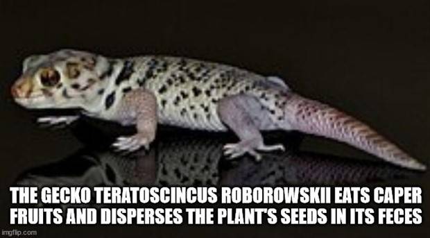 It’s Time for Some Cool and Interesting Facts #362 (34 photos)