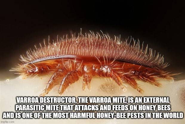 It’s Time for Some Cool and Interesting Facts #362 (34 photos)