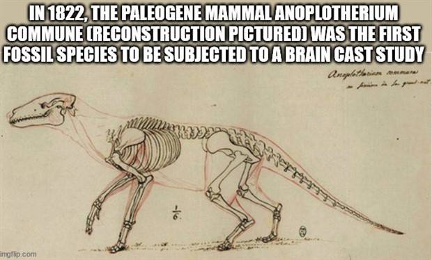 It’s Time for Some Cool and Interesting Facts #362 (34 photos)