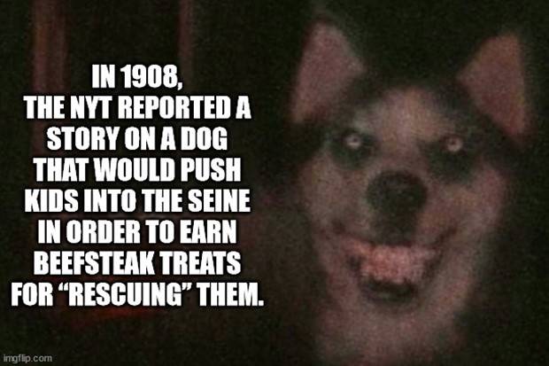 It’s Time for Some Cool and Interesting Facts #359 (35 photos)