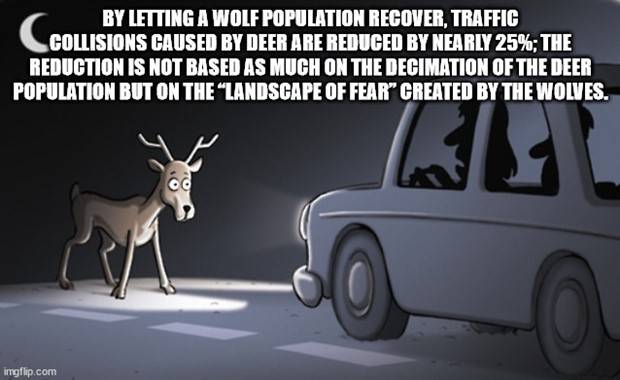 It’s Time for Some Cool and Interesting Facts #359 (35 photos)