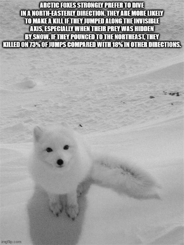 It’s Time for Some Cool and Interesting Facts #359 (35 photos)