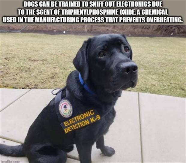 It’s Time for Some Cool and Interesting Facts #359 (35 photos)