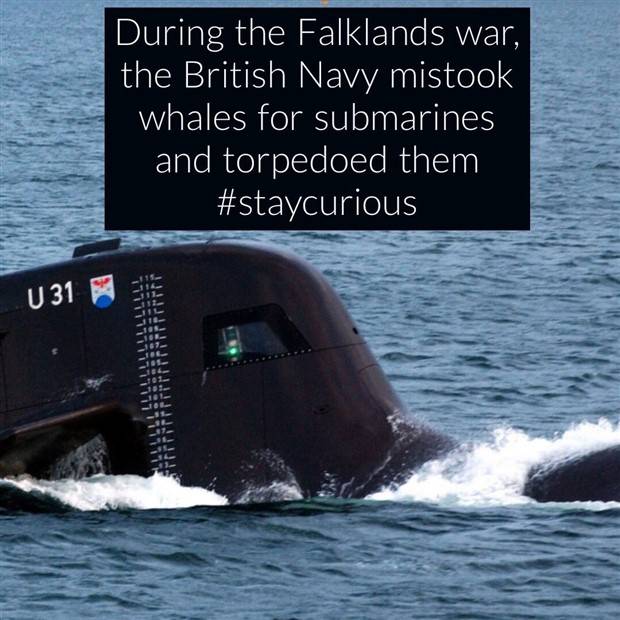 It’s Time for Some Cool and Interesting Facts #359 (35 photos)