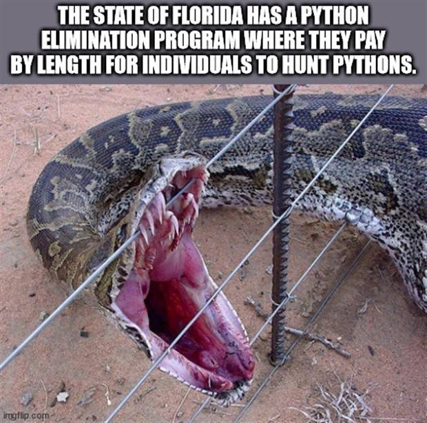 It’s Time for Some Cool and Interesting Facts #359 (35 photos)