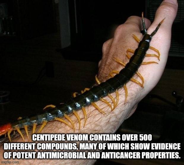 It’s Time for Some Cool and Interesting Facts #359 (35 photos)