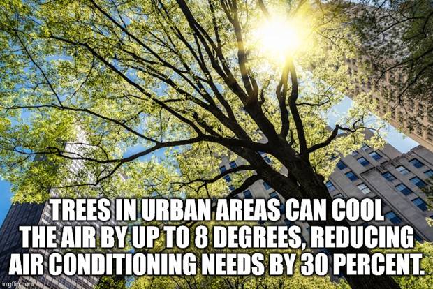 It’s Time for Some Cool and Interesting Facts #359 (35 photos)