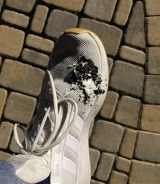 Shit Happens Regularly, Get Used To It #257 (29 photos)
