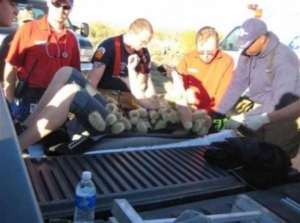 Shit Happens Regularly, Get Used To It #257 (29 photos)