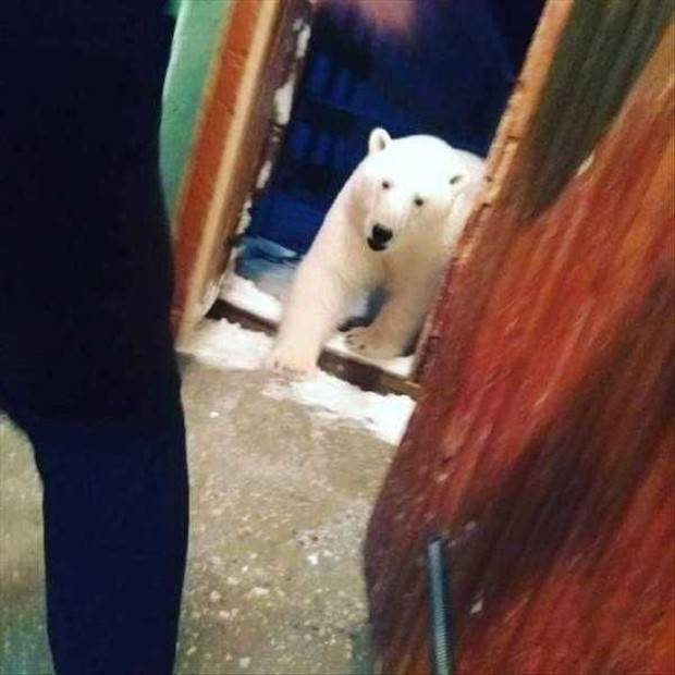 Shit Happens Regularly, Get Used To It #257 (29 photos)