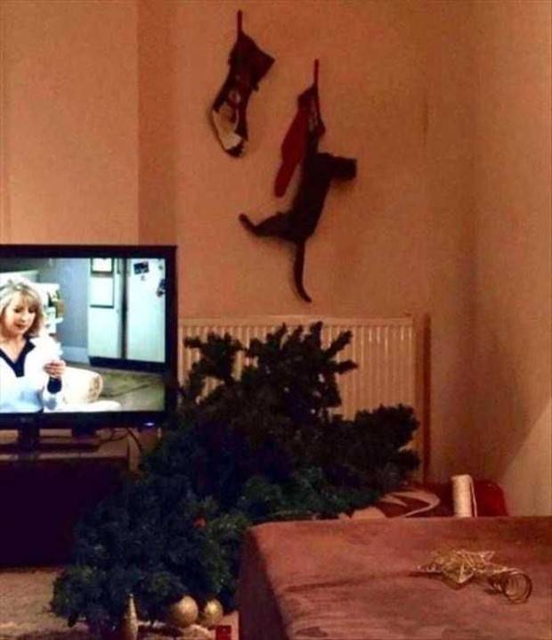 Shit Happens Regularly, Get Used To It #257 (29 photos)