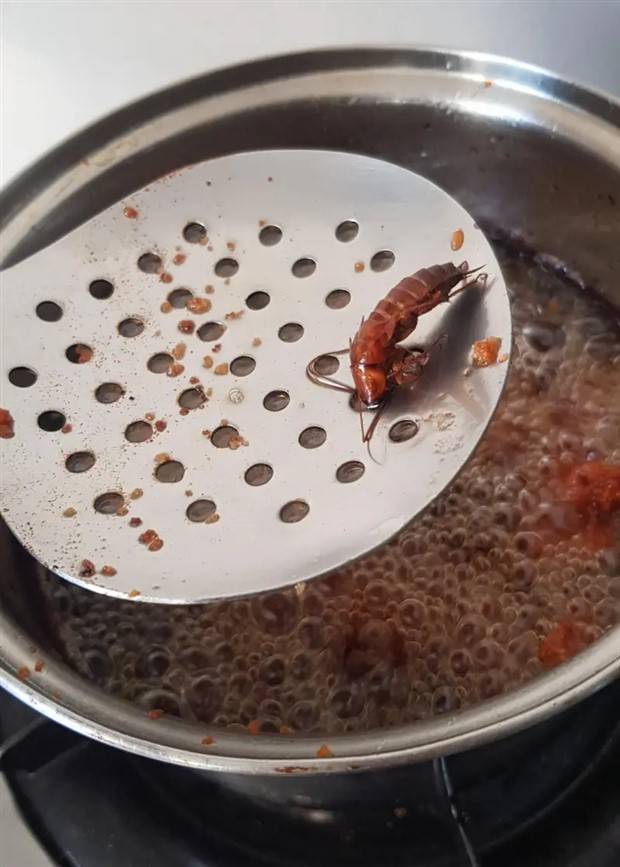 shit happens 28 1 Shit Happens Regularly, Get Used To It #258 (34 photos)