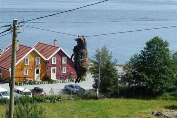 Shit Happens Regularly, Get Used To It #257 (29 photos)