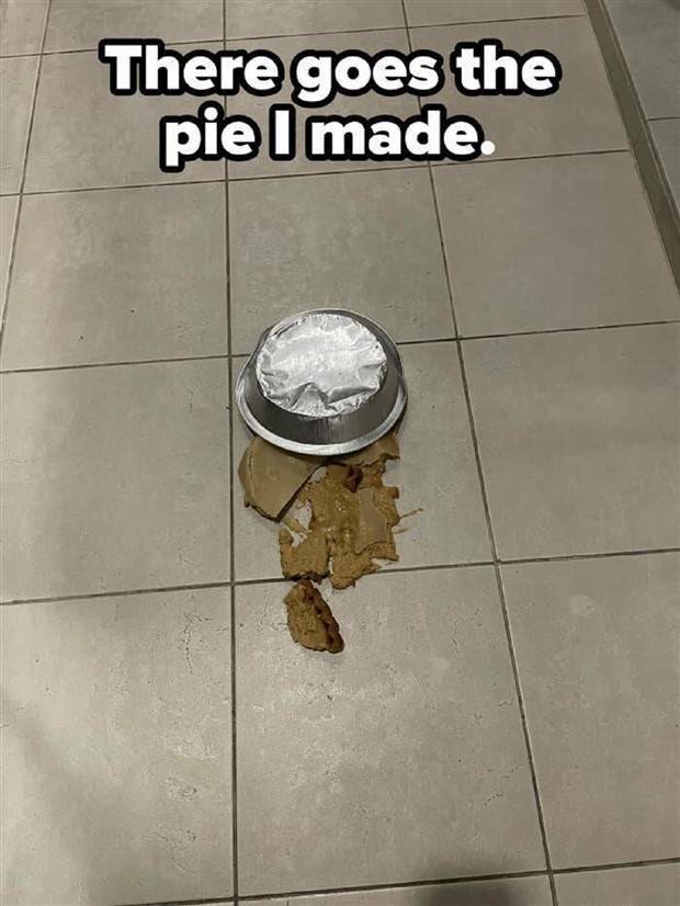 Shit Happens Regularly, Get Used To It #257 (29 photos)