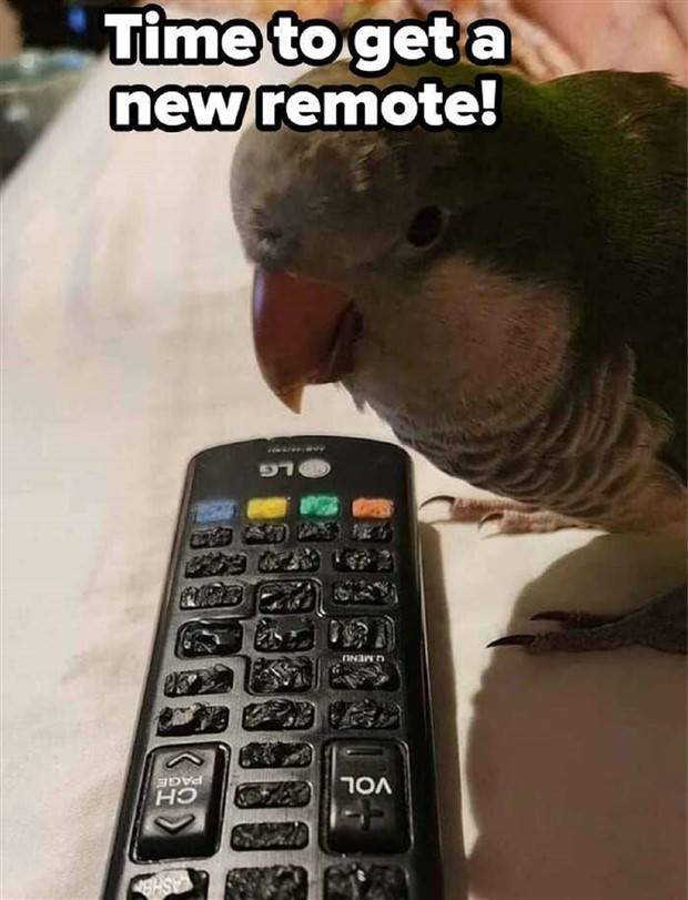 Shit Happens Regularly, Get Used To It #257 (29 photos)