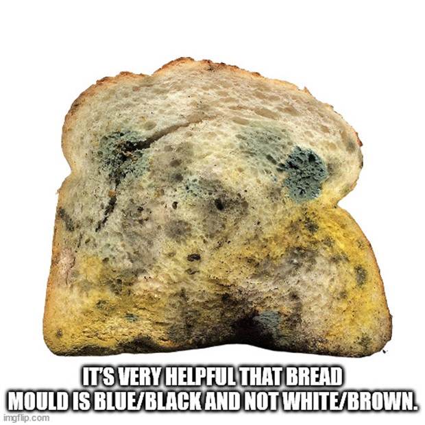 Funny Shower Thoughts #87 (35 photos)