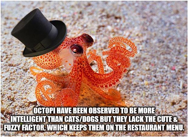 Funny Shower Thoughts #85 (30 photos)