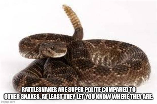 Funny Shower Thoughts #85 (30 photos)