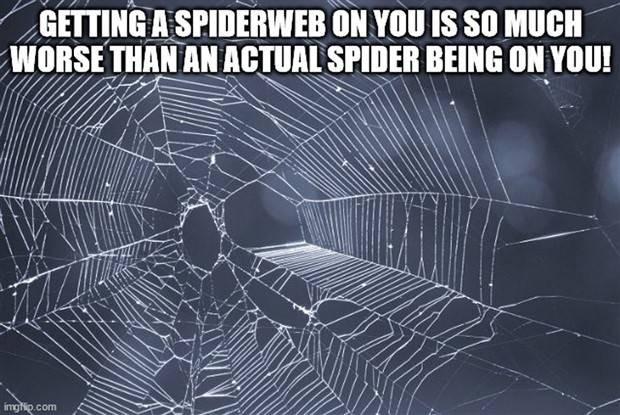 Funny Shower Thoughts #85 (30 photos)