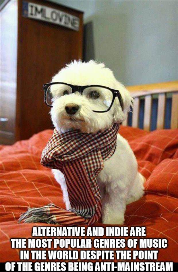 Funny Shower Thoughts #87 (35 photos)