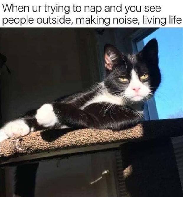 Funny Pics and Memes to Make You Laugh #91 (32 photos)