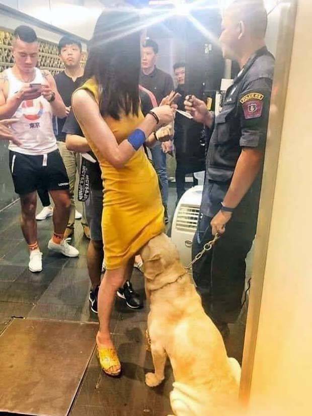 Funny Pics and Memes to Make You Laugh #91 (32 photos)