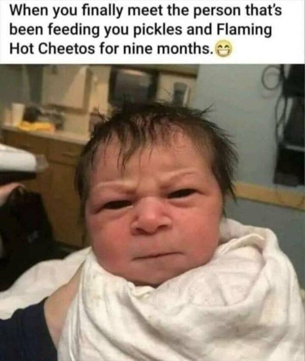 Funny Pics and Memes to Make You Laugh #91 (32 photos)