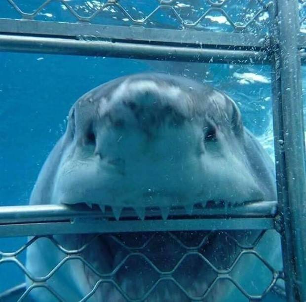 Awesome Pictures You Shouldn’t Miss #87 (33 photos)