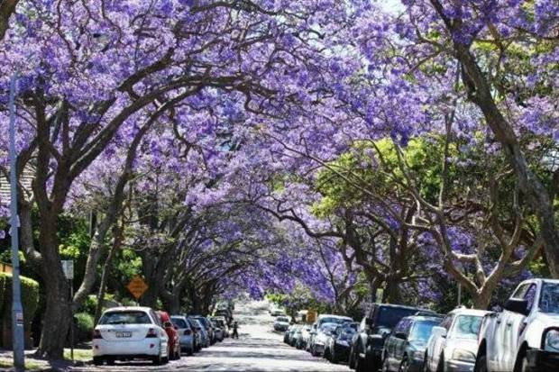 Awesome Pictures You Shouldn’t Miss #87 (33 photos)