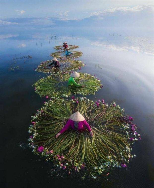 Awesome Pictures You Shouldn’t Miss #87 (33 photos)