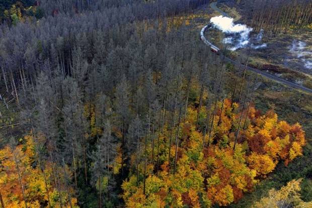 Awesome Pictures You Shouldn’t Miss #87 (33 photos)