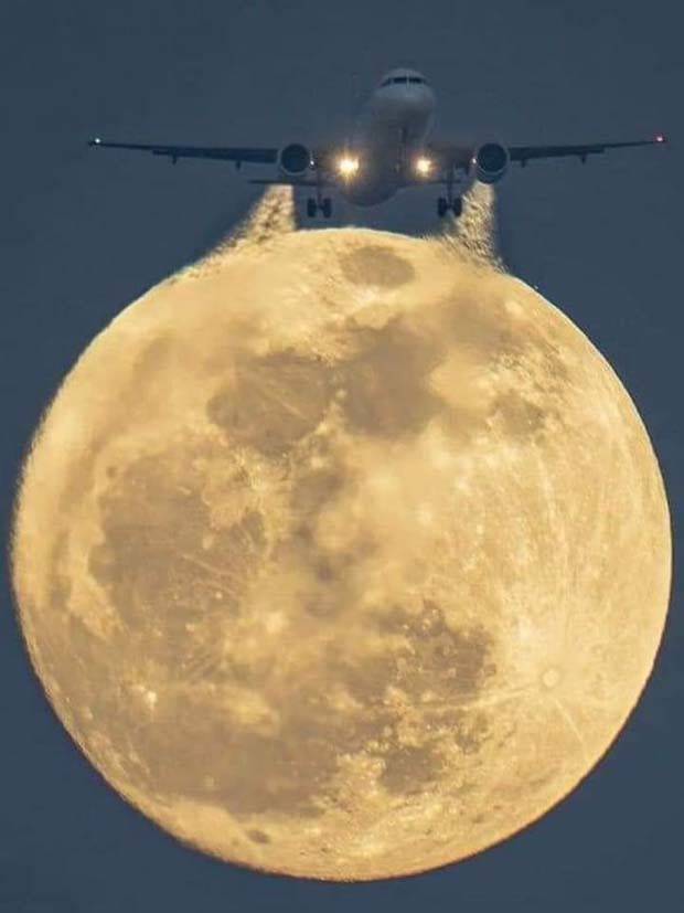 Awesome Pictures You Shouldn’t Miss #87 (33 photos)