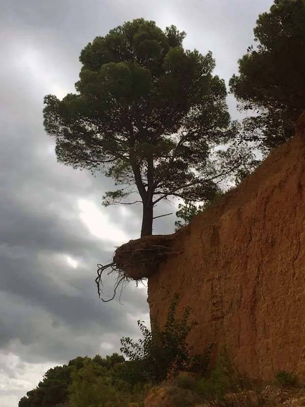 Awesome Pictures You Shouldn’t Miss #89 (27 photos)