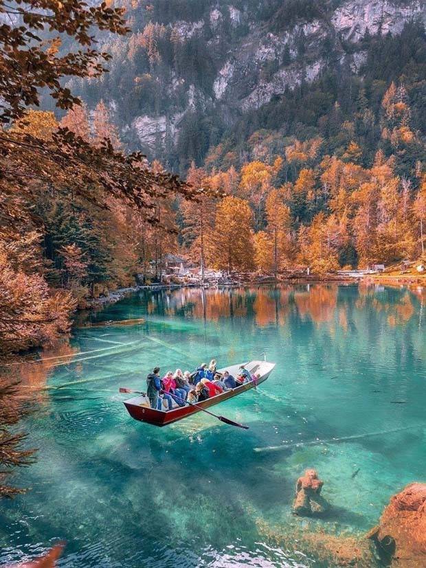 Awesome Pictures You Shouldn’t Miss #89 (27 photos)