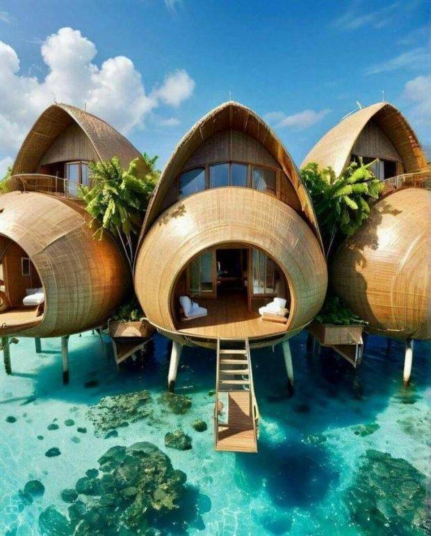 Awesome Pictures You Shouldn’t Miss #89 (27 photos)