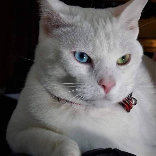 Awesome Pictures You Shouldn’t Miss #89 (27 photos)